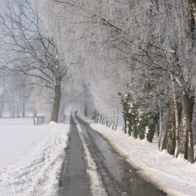 Birkenhof im Schnee